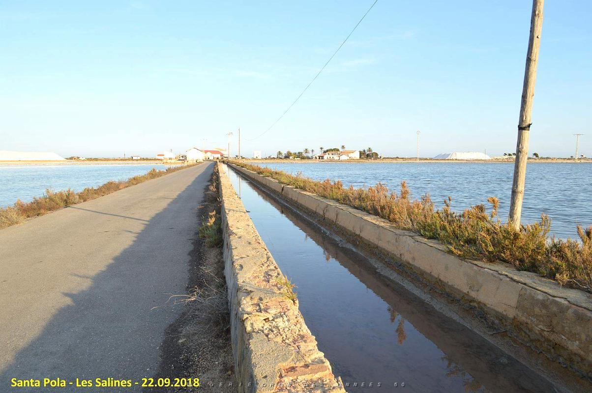 33 SANTA POLA LES SALINES (28).JPG